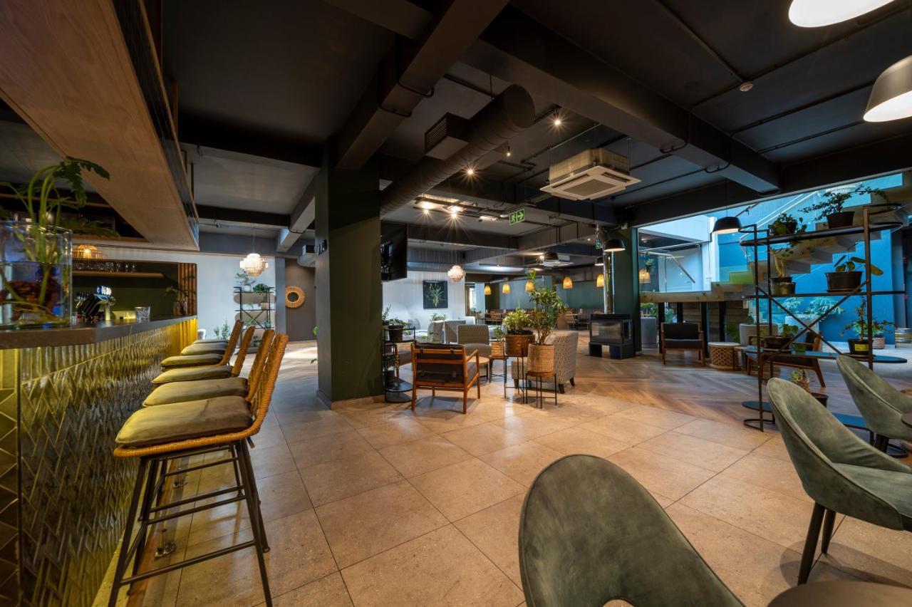 Kloof Street-狮子吼叫&4*
